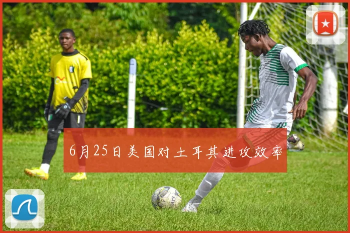 6月25日美国对土耳其进攻效率